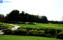 高爾夫教學：四桿洞，相對較短的6號洞如何打？